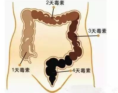 都市人轻松的排毒塑身方式 是选择7天后蔬果平衡餐