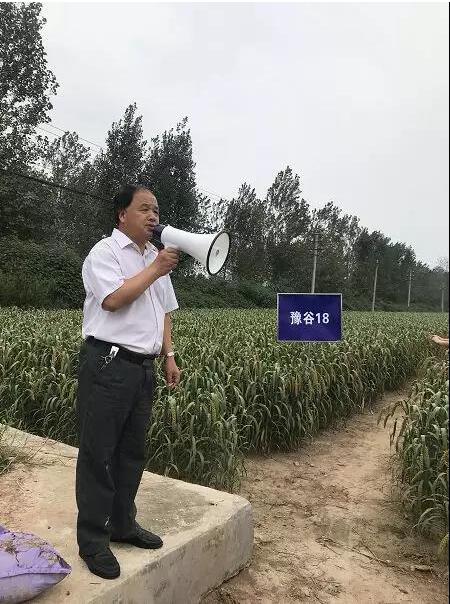 河南省谷子产业技术创新战略联盟启动会议圆满