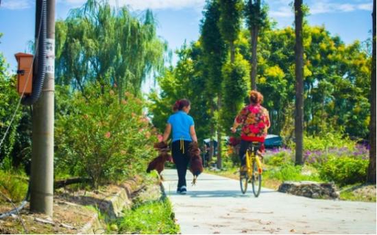 带着孩子逃离都市,来吧田园的美食、美景不期