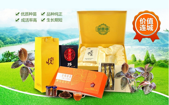 贵州华科金农生态农业发展有限公司 御贵草金线莲持续发展