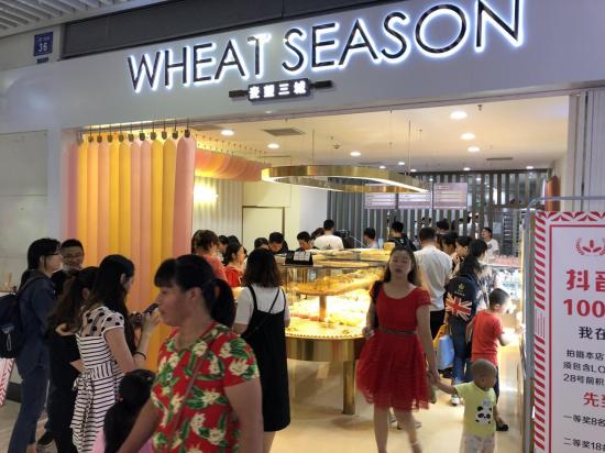 Wheat Seasonפ ̲½