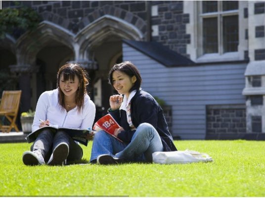 双十一来袭，北京帆之都免费办理新西兰留学，雅思培训五折