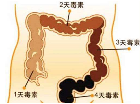 7天后：重视体内毒素清除 焕发身体健康活力