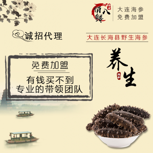 大连佰八鲜海参加盟全国免费诚招代理