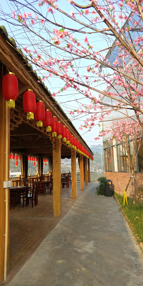 西斯特玛刺杀术碰撞太极 齐聚涪陵腊八文化节