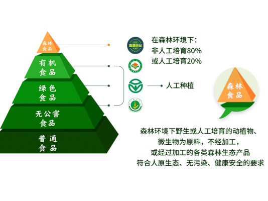 原来这就是森林食品