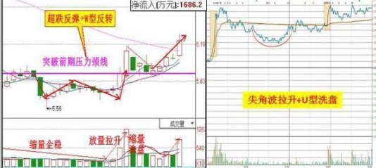 勃脉力人口总数_关于举办高效节水灌溉技术人员能力建设高级研修班的通知(3)