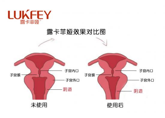 名露的原理_浸入液体里的物体.受到向上的浮力.浮力的大小等于它排开液体受到的重力它排开(3)