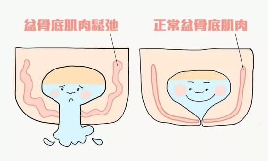 呵护内在健康：注重产后修复这门必修课，让宝妈焕发新生