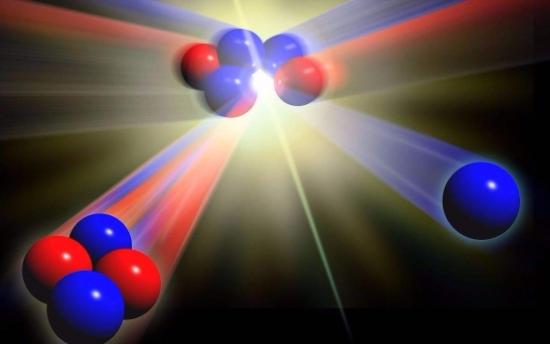 β-35核聚因子酸的生物学效应